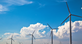 100% of purchased electricity in Tate & Lyle's North American  operations to come from renewable sources  HPPA Image
