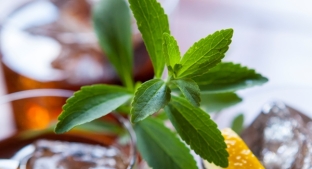 Stevia leaves